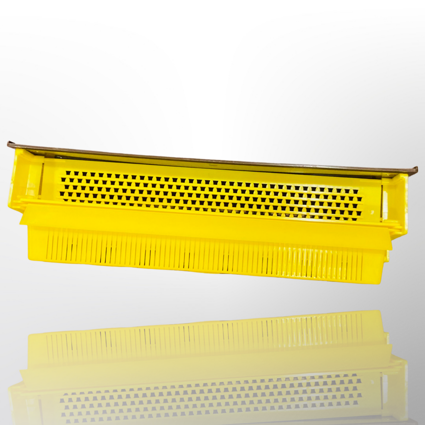 Plastic Pollen Trap With Hook