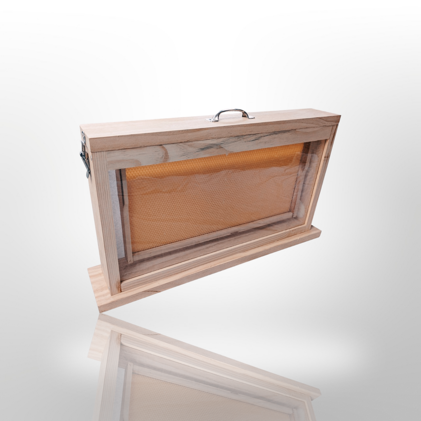 Observation Educational Beehive - Single Frame