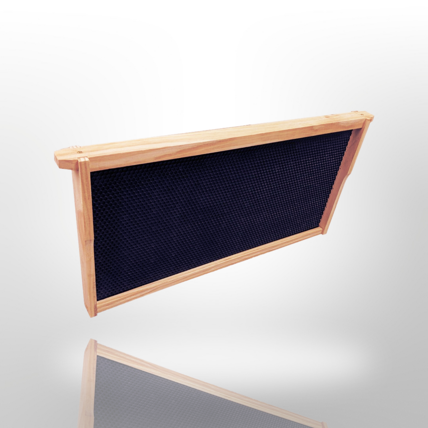 ASSEMBLED 10 Frame Size Full Depth Box and 10 Assembled Frames With Black Plastic Foundation