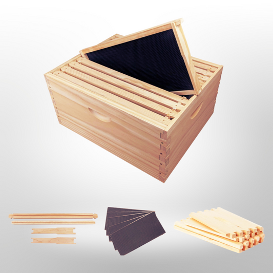 10 Frame Full Depth Beehive Super/Box Kit Including Frames and Foundation