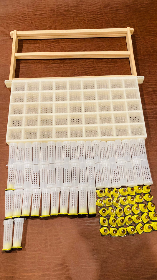 Queen rearing 45 cells Kit